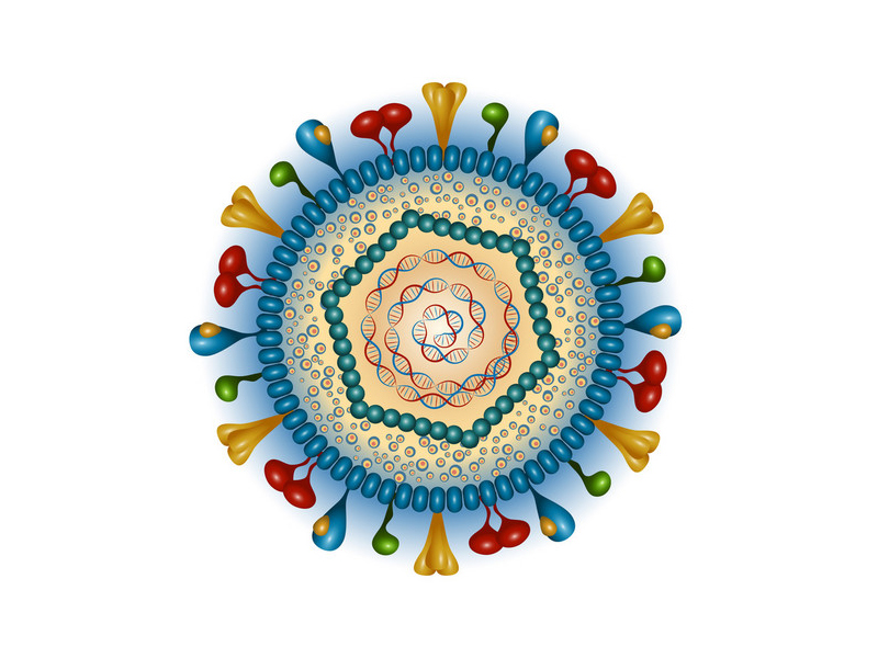 什么是单纯疱疹病毒，有什么症状？