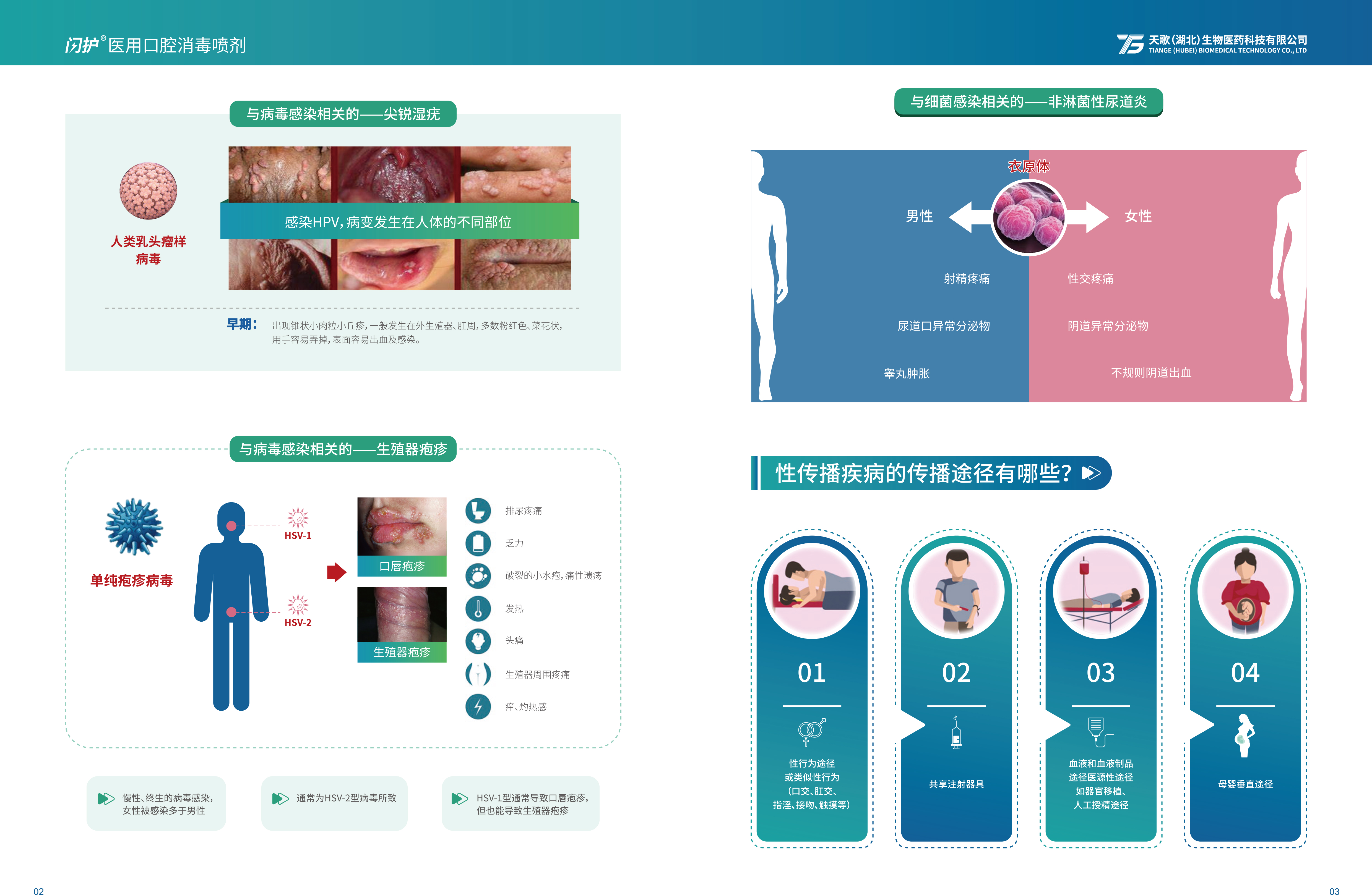 闪护品牌宣传手册